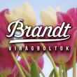 Brandt Virágbolt - Auchan Soroksár